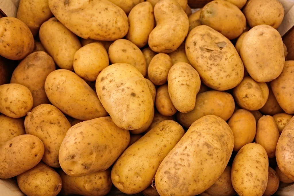 Fresh potatoes
